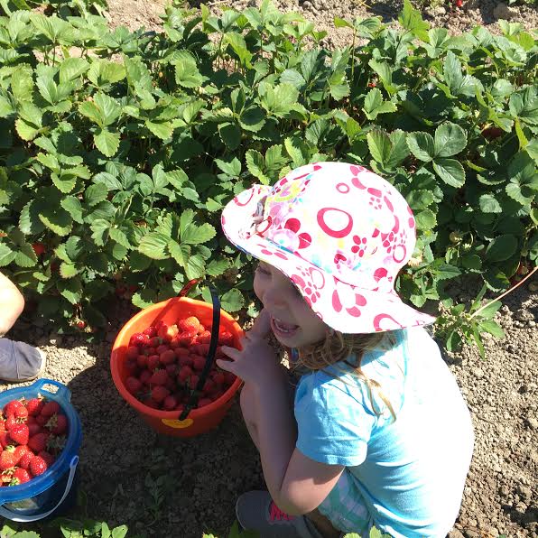EVE BERRY PICKING