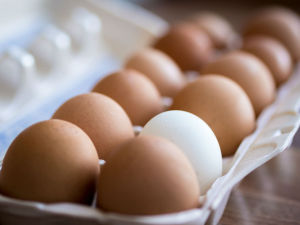 eggs final